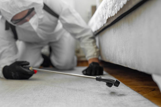 Professional Bed Bug Control technician working in Wilderness Rim, WA